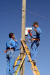 Palestinian men at work photos